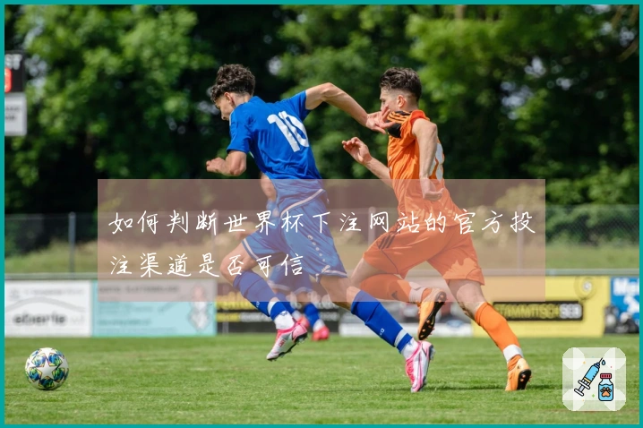 如何判断世界杯下注网站的官方投注渠道是否可信