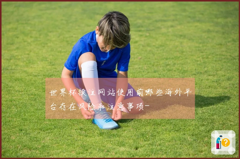 世界杯投注网站使用前哪些海外平台存在风险和注意事项-