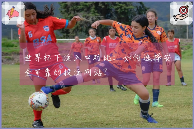 世界杯下注入口对比：如何选择安全可靠的投注网站？
