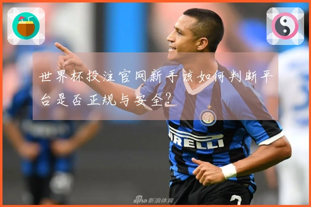 世界杯投注官网新手该如何判断平台是否正规与安全？