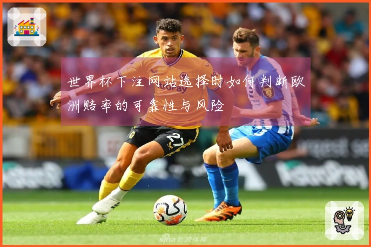 世界杯下注网站选择时如何判断欧洲赔率的可靠性与风险