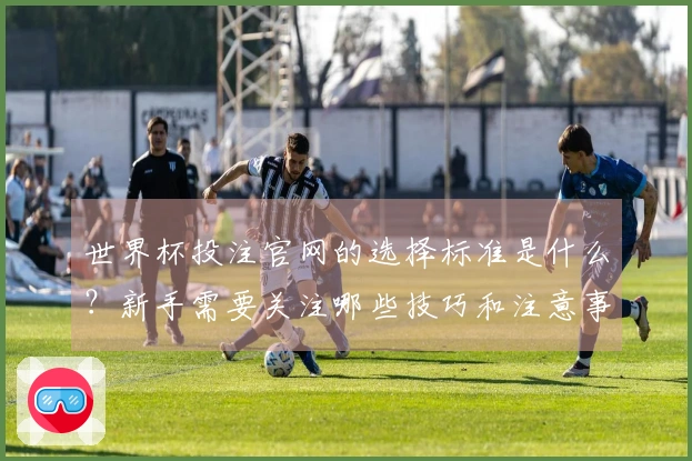 世界杯投注官网的选择标准是什么？新手需要关注哪些技巧和注意事项？