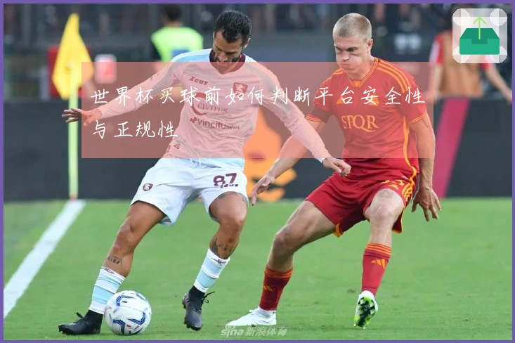 世界杯买球前如何判断平台安全性与正规性