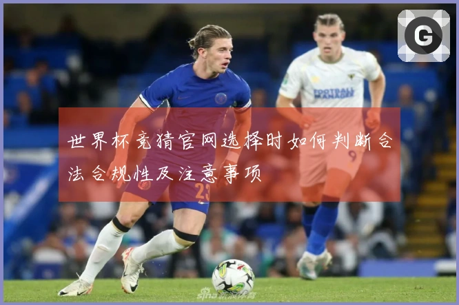 世界杯竞猜官网选择时如何判断合法合规性及注意事项
