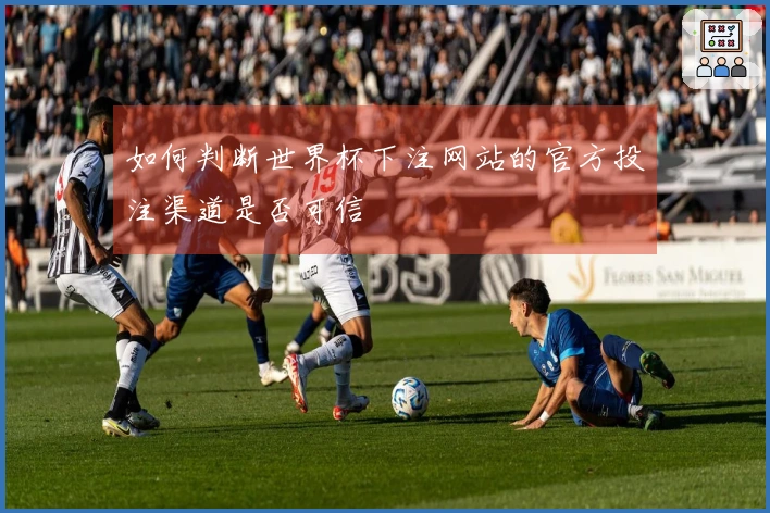 如何判断世界杯下注网站的官方投注渠道是否可信