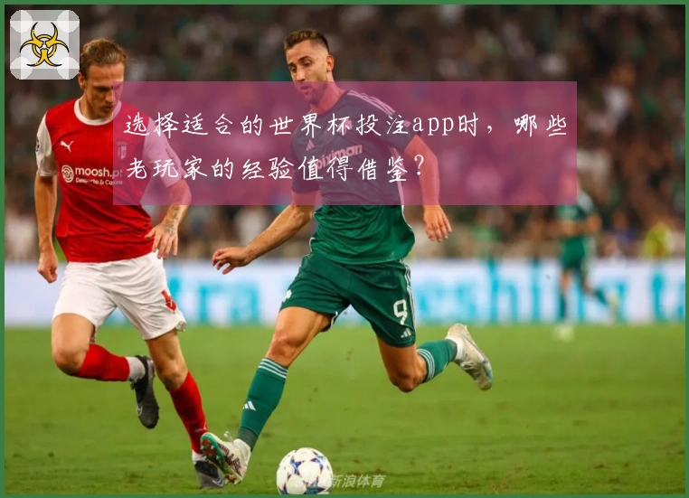 选择适合的世界杯投注app时，哪些老玩家的经验值得借鉴？