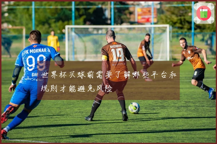 世界杯买球前需要了解哪些平台和规则才能避免风险