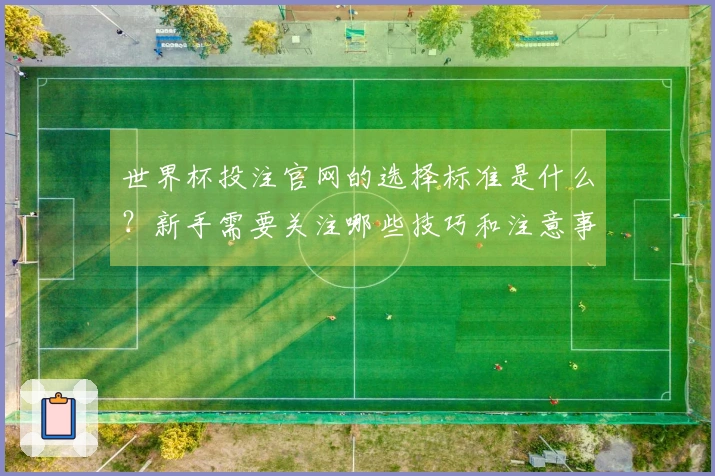 世界杯投注官网的选择标准是什么？新手需要关注哪些技巧和注意事项？