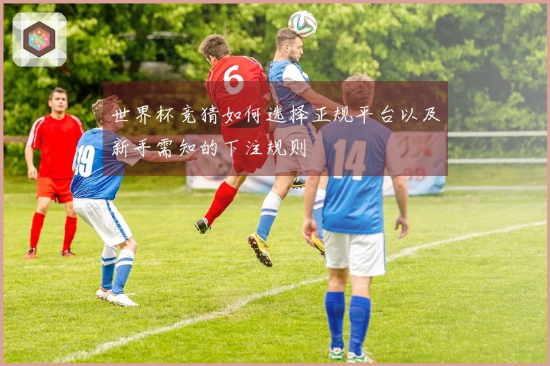 世界杯竞猜如何选择正规平台以及新手需知的下注规则