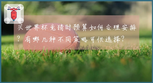 买世界杯竞猜时预算如何合理安排？有哪几种不同策略可供选择？