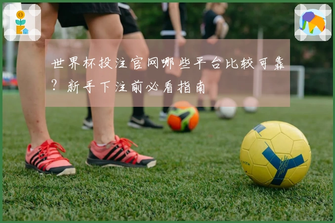 世界杯投注官网哪些平台比较可靠？新手下注前必看指南
