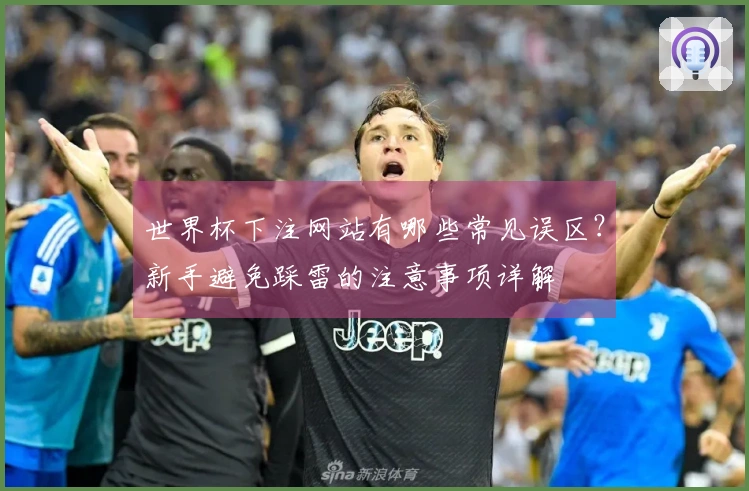 世界杯下注网站有哪些常见误区？新手避免踩雷的注意事项详解