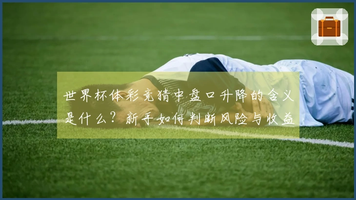 世界杯体彩竞猜中盘口升降的含义是什么？新手如何判断风险与收益