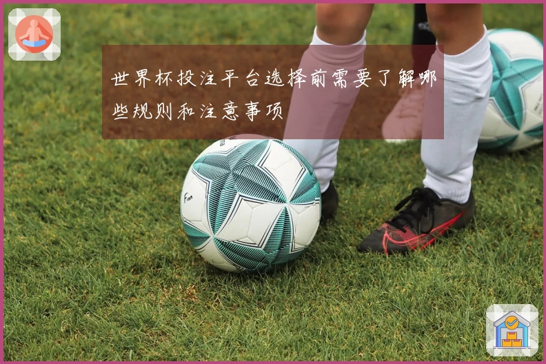 世界杯投注平台选择前需要了解哪些规则和注意事项