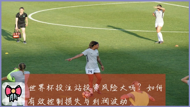 世界杯投注站投资风险大吗？如何有效控制损失与利润波动