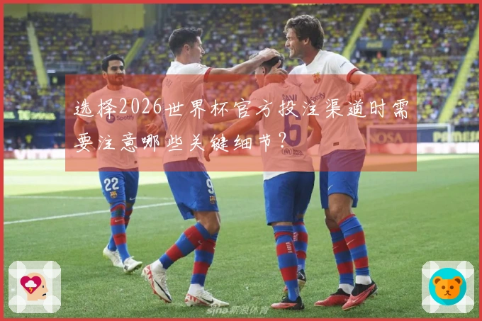 选择2026世界杯官方投注渠道时需要注意哪些关键细节？