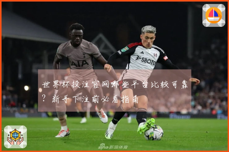 世界杯投注官网哪些平台比较可靠？新手下注前必看指南