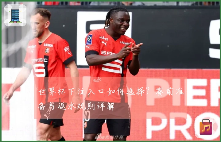 世界杯下注入口如何选择？赛前准备与返水规则详解