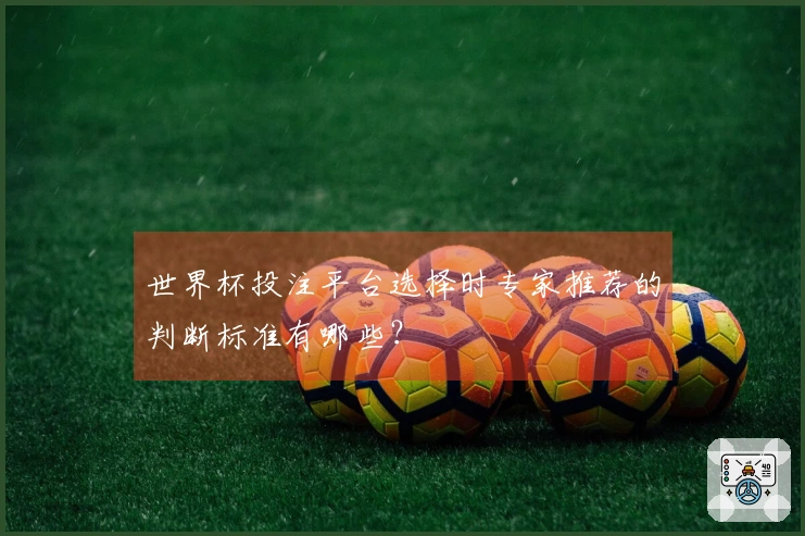 世界杯投注平台选择时专家推荐的判断标准有哪些？