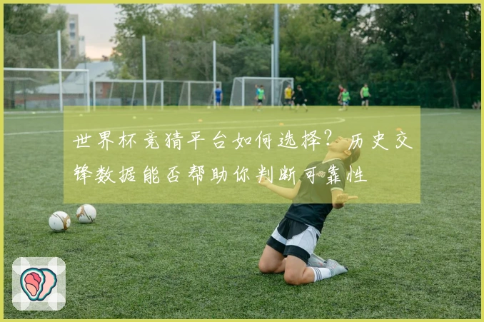 世界杯竞猜平台如何选择？历史交锋数据能否帮助你判断可靠性