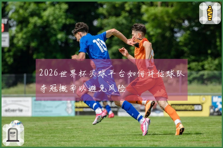 2026世界杯买球平台如何评估球队夺冠概率以避免风险