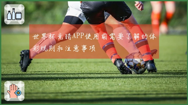 世界杯竞猜APP使用前需要了解的体彩规则和注意事项