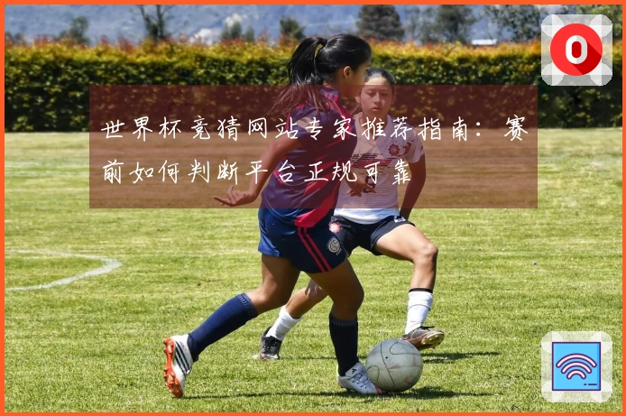 世界杯竞猜网站专家推荐指南：赛前如何判断平台正规可靠