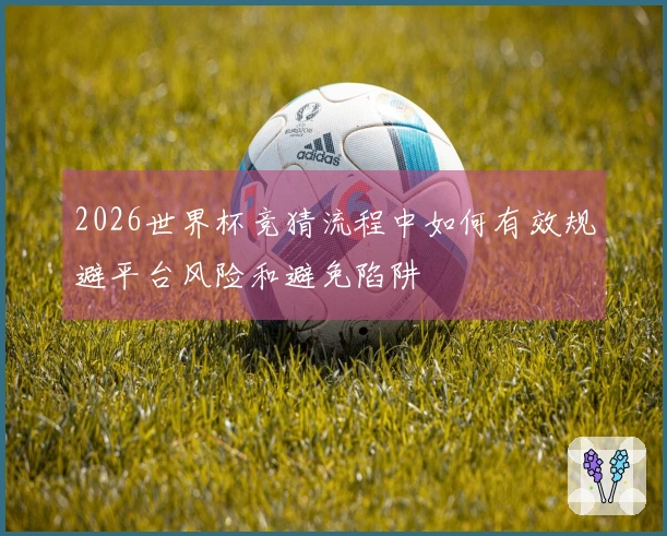2026世界杯竞猜流程中如何有效规避平台风险和避免陷阱