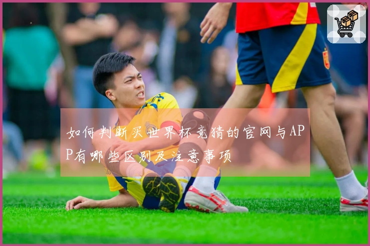 如何判断买世界杯竞猜的官网与APP有哪些区别及注意事项