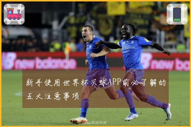 新手使用世界杯买球APP前必了解的五大注意事项