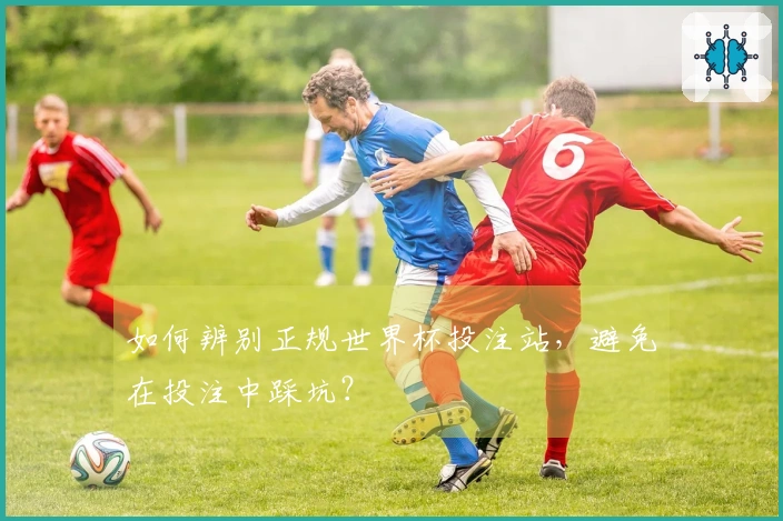 如何辨别正规世界杯投注站，避免在投注中踩坑？